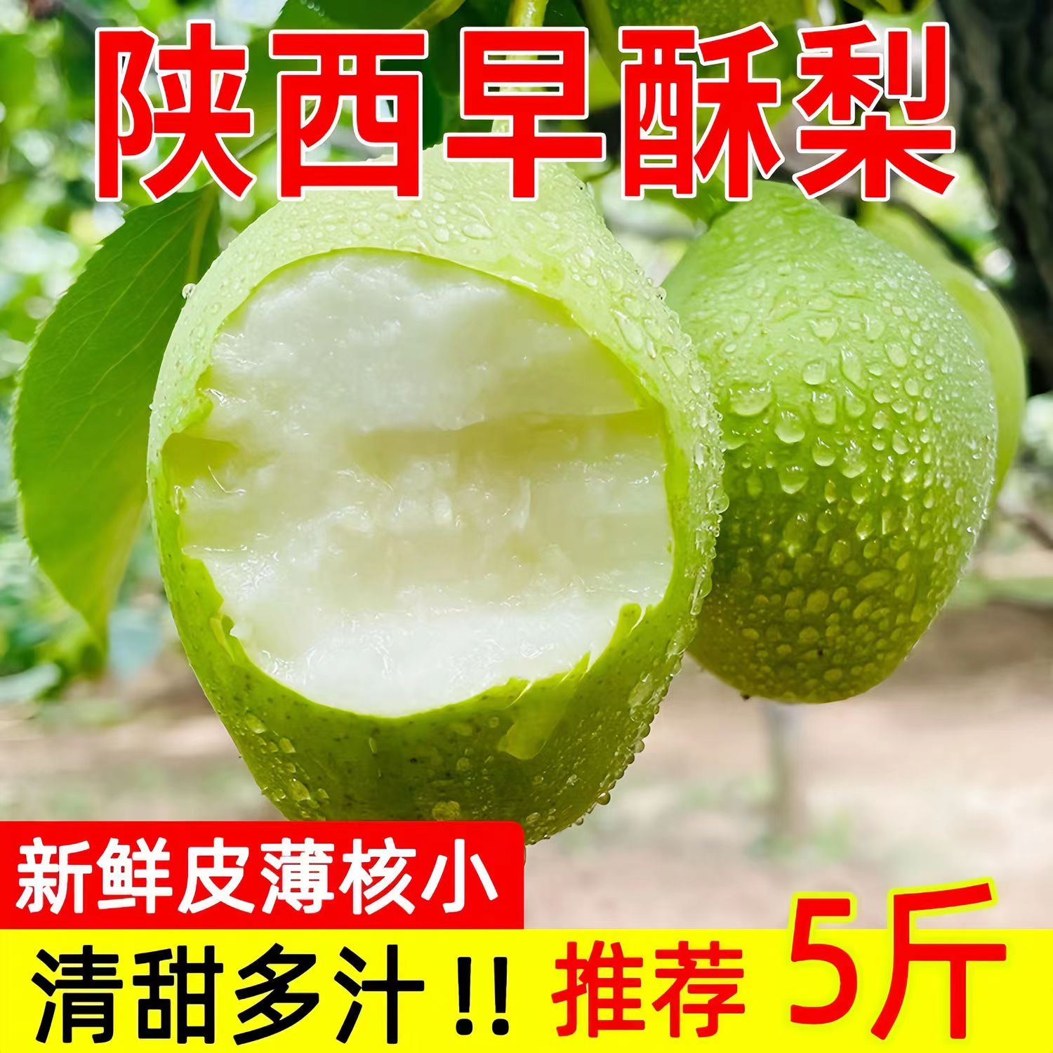 陕西早酥梨新鲜水果5斤梨子当季现摘青梨水晶青酥梨脆甜雪梨整箱