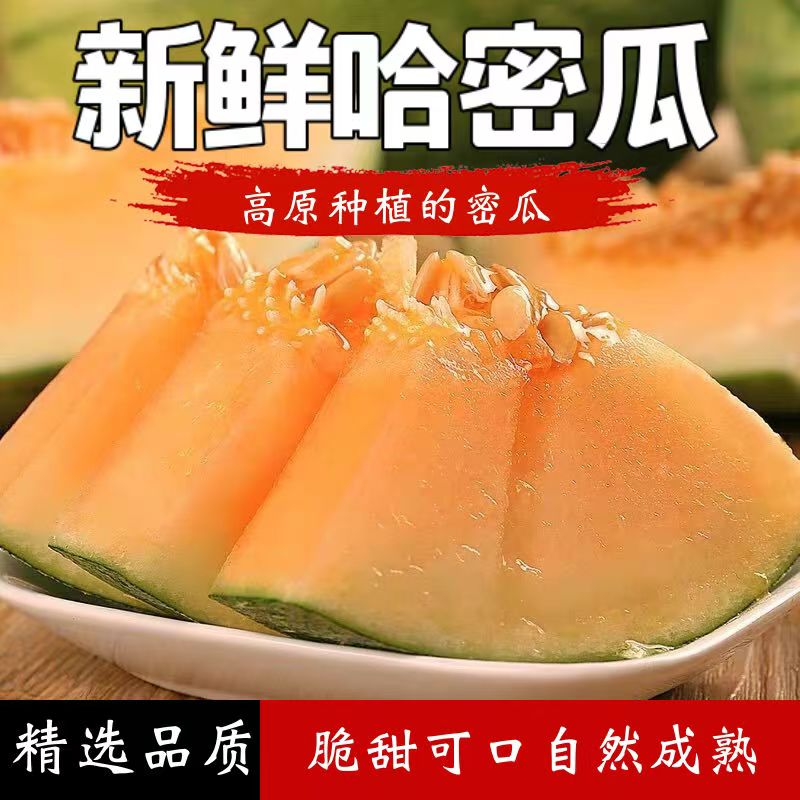 正宗哈密瓜脆甜当季新鲜水果甜一整箱包邮现摘网纹瓜西州蜜