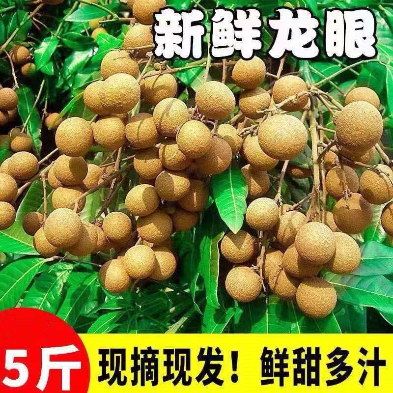 泰国龙眼新鲜进口鲜桂圆大果3斤应季现摘鲜甜水果整箱批发包邮