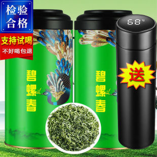 送保温杯 碧螺春绿茶2026新茶明前雨前浓香春茶正宗高山嫩叶500g