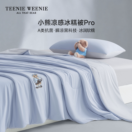 TeenieWeenieA类小冰被空调被