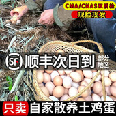 土鸡蛋农家竹林散养笨鸡蛋农村现捡柴鸡蛋60枚绿壳蛋月子鸡蛋整箱