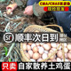 土鸡蛋农家竹林散养笨鸡蛋农村现捡柴鸡蛋60枚绿壳蛋月子鸡蛋整箱