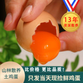 散养山林土鸡蛋新鲜鸡蛋农村自养月子蛋农家虫草蛋柴笨鸡蛋绿壳蛋