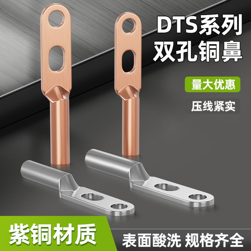 DTS双孔铜鼻子冷压铜接头铜线耳双眼铜接线端子国标A级镀锡120