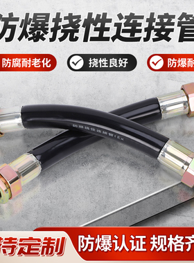 防爆挠性连接管BNG防爆软管挠性接线管4分防爆管6分穿线管挠性管
