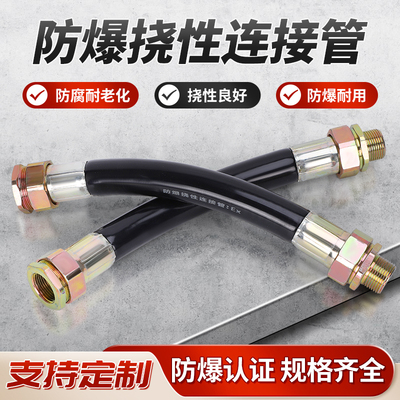 防爆挠性连接管BNG防爆软管挠性接线管4分防爆管6分穿线管挠性管