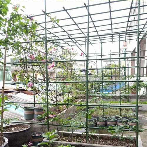 新款直销工厂园艺包塑钢管番茄植物支架爬藤花架包塑藤蔓支架黄瓜