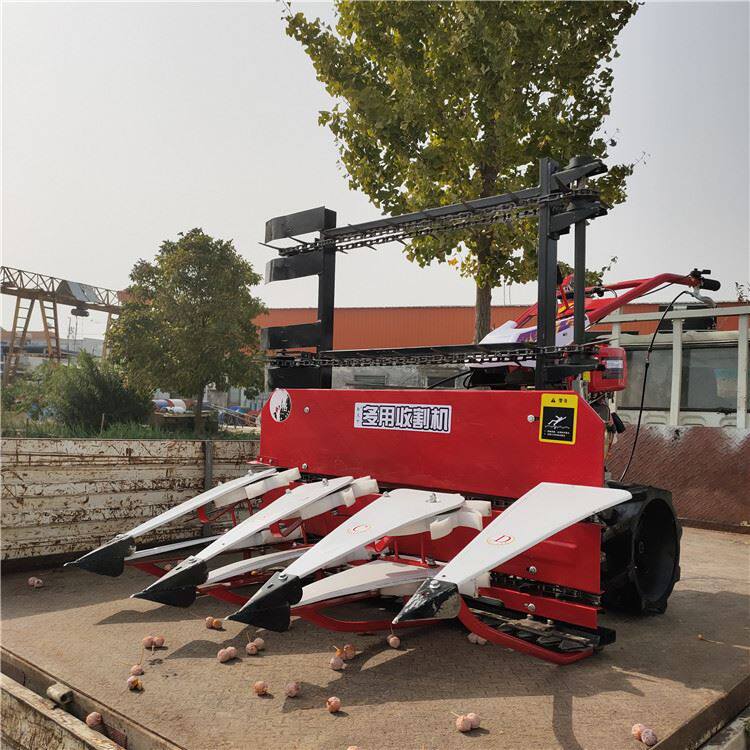 汽油割晒机 热款苜蓿高杆收割机 新款手扶式小麦收割机