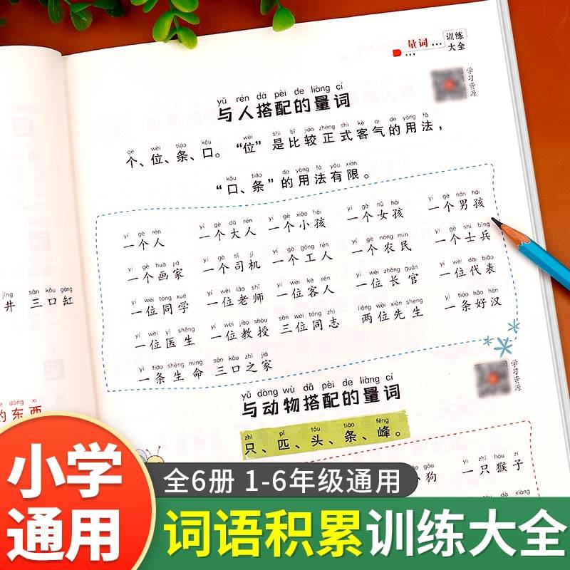 词语积累训练大全重叠词成语大全小学生通用版语文专项训练基础知识手册aabbc式四字字词句积累量词近反义词多音字一年级练习词汇 书籍/杂志/报纸 小学教辅 原图主图