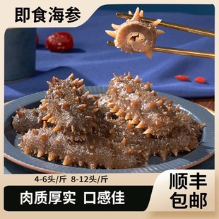 海参大连即食海参1斤500克冷冻海参大连海刺参 即食海参500g大连