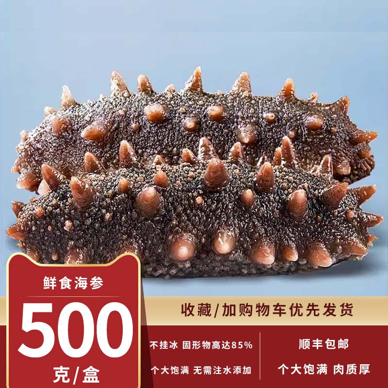 海宝洋即食海参孕妇500克4-12头大连辽刺参送礼走亲戚海生盒装