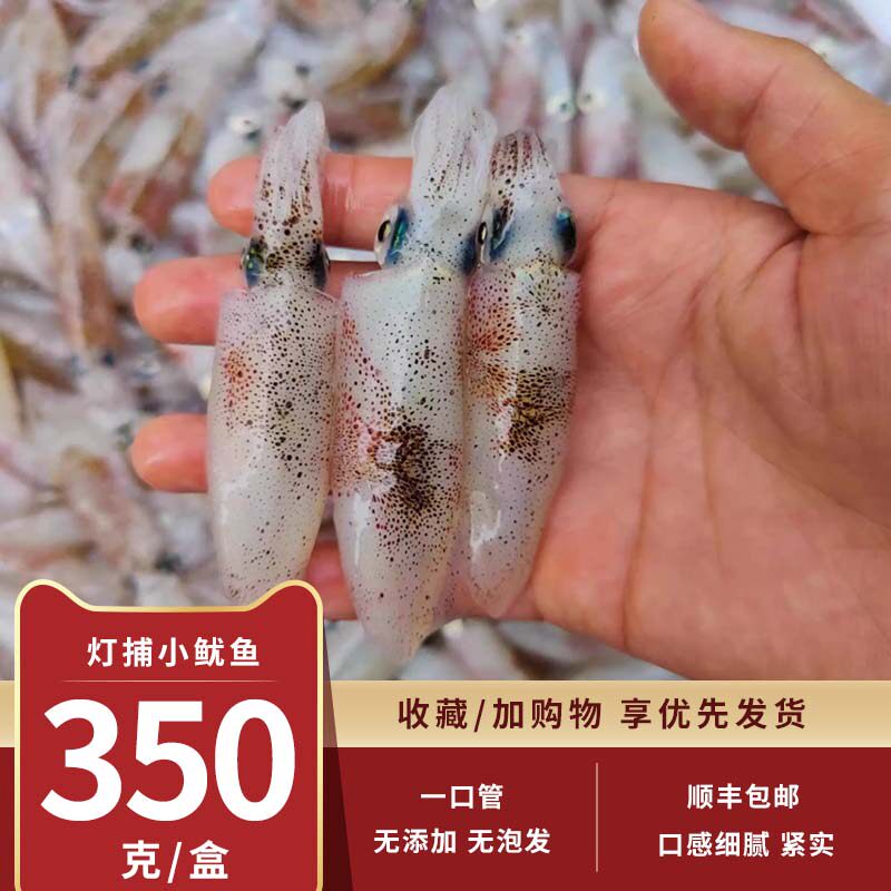 新鲜鱿鱼生鲜尤鱼冰鲜海鲜笔管鱼火锅批发冷冻东山小管海兔小管鱿