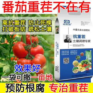 番茄抗重茬剂番茄重茬专用药防重茬肥料死根死棵抗病逆弱苗小苗