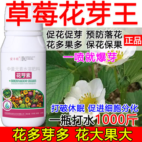 草莓促花催芽草莓花芽促长素催花保果叶面肥保花保果催花强制座果