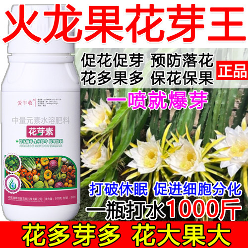 火龙果促花催芽火龙果花芽促长素催花保果叶面肥保花保果催花强制