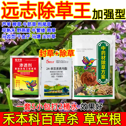 远志除草剂远志田除草剂杂草烂根不伤药材狗尾草牛筋草烂根除草剂