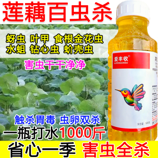 莲藕杀虫剂杀虫药莲藕专用杀虫剂百虫杀虫卵双杀蔬菜果树通用水蛆