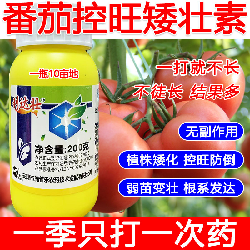 番茄矮壮素番茄控旺药番茄专用控旺矮化剂叶面肥控旺剂提高产量