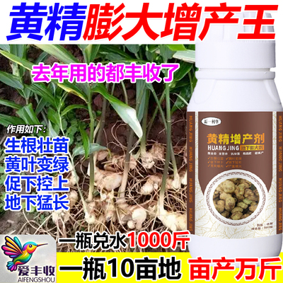 黄精叶面肥黄精专用肥料增产肥料生根壮苗猛长壮根抗病虫抗倒伏肥