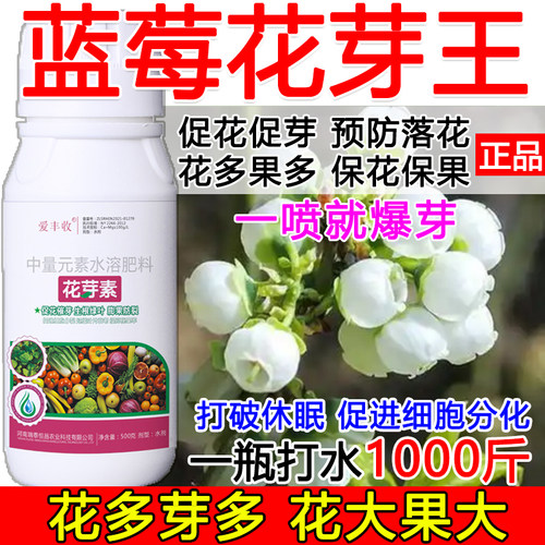 蓝莓促花催芽蓝莓花芽促长素催花保果叶面肥保花保果催花强制座果