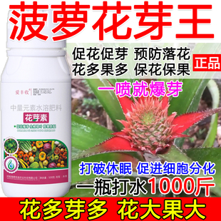 菠萝促花催芽菠萝花芽促长素催花保果叶面肥保花保果催花强制座果