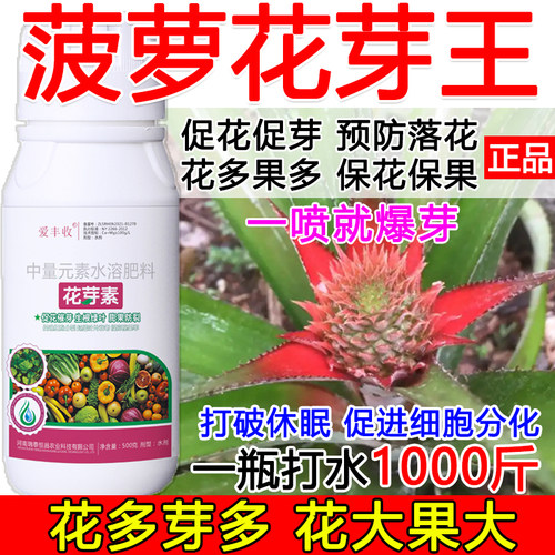 菠萝促花催芽菠萝花芽促长素催花保果叶面肥保花保果催花强制座果