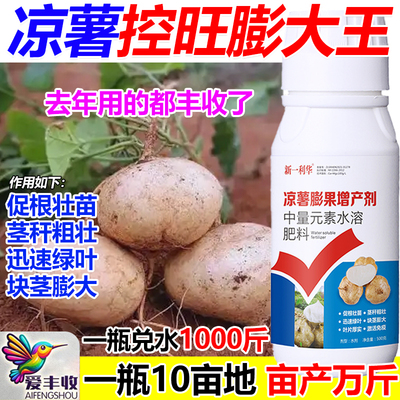 凉薯膨大素叶面肥凉薯控旺膨大增产肥料上控下促地下猛长增产肥料