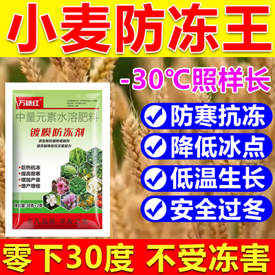 小麦防冻液防冻剂小麦防冻叶面肥耐寒增产降低冰点蔬菜果树防冻剂