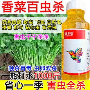 香菜杀虫剂杀虫药香菜专用杀虫剂百虫杀虫卵双杀蔬菜果树茴香凤蝶