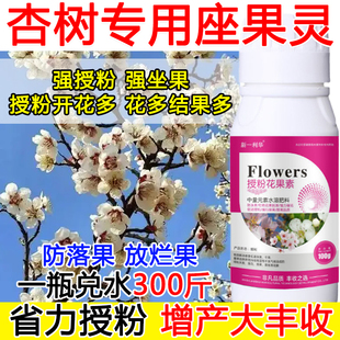 杏树授粉花果精杏树授粉药沾花素保花保果强制座果肥料防落果正品