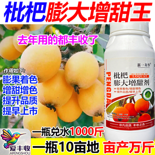 枇杷膨大增甜剂枇杷专用叶面肥保花保果增甜膨大抗病逆增产肥料