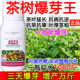 茶树芽猛长920茶树催芽促芽肥料叶面肥芽多芽嫩抗病抗逆正品 肥料