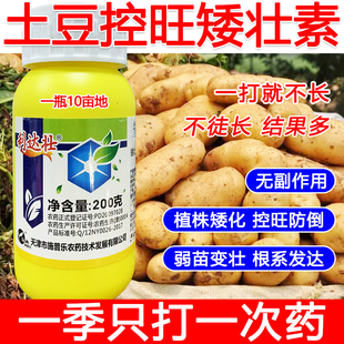 土豆矮壮素土豆控旺药土豆专用控旺矮化剂叶面肥控旺剂提高产量