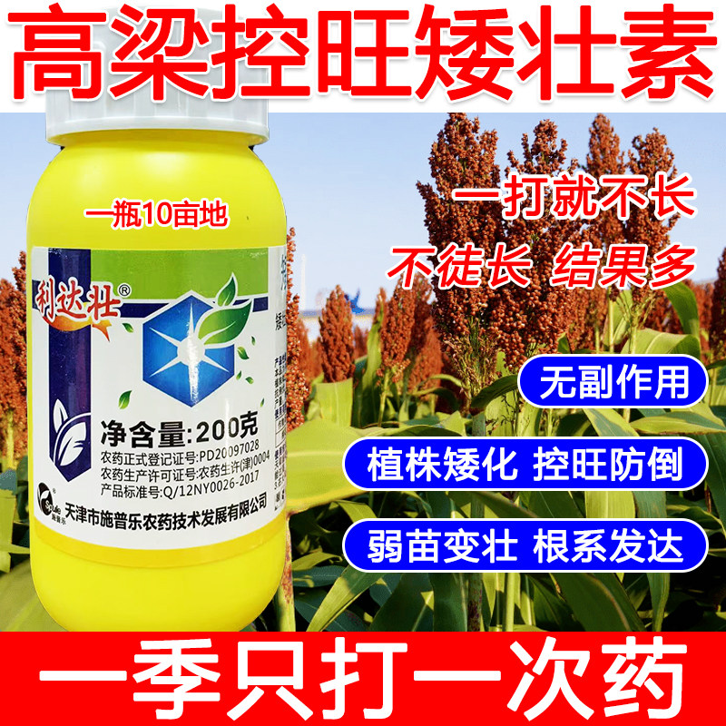 高粱矮壮素高粱控旺药高粱专用控旺矮化剂叶面肥控旺剂提高产量