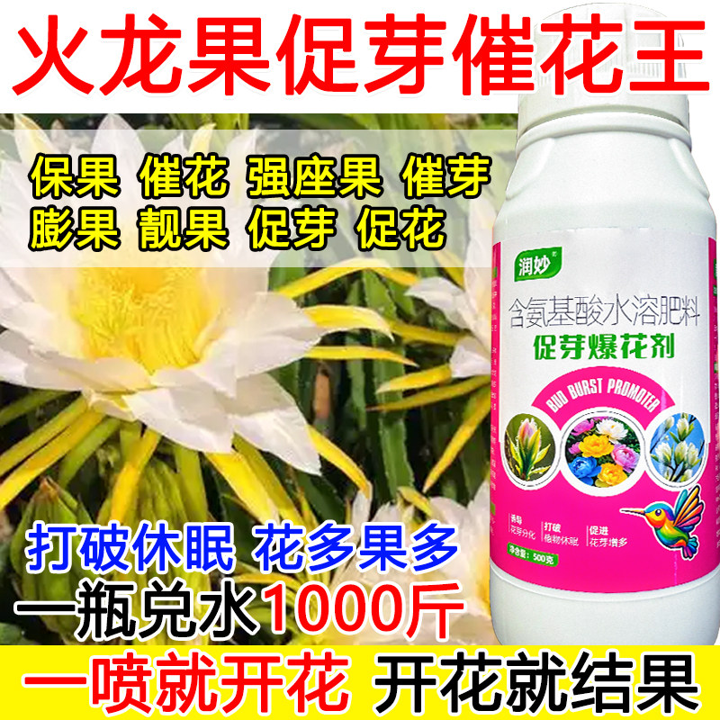 火龙果花芽分化素催花促芽火龙果授粉催花保果叶面肥保花打破休眠