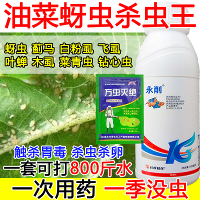 油菜蚜虫强效杀虫剂油菜蚜虫专用药氯氰吡虫啉菜青虫蔬菜果树通用