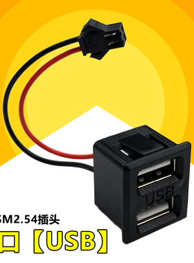 USB接口母座 A母充电插口改装灯座内置电源插座 usb双母座转sm头