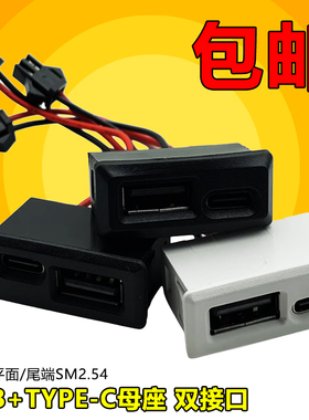 USB2.0 TYPE-C双接口母座灯具玩具充电口手机充电口2A防水插座2P