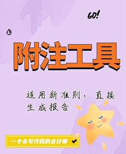 附注工具 (适用新准则)一键生成报告,免费更新