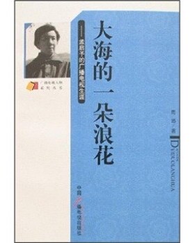 正版包邮大海的一朵浪花:孟启予的广播电视生涯周迅 著中国广播电视出版社9787504355089