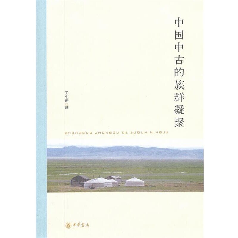 正版包邮中国中古的族群凝聚王小甫　著中华书局9787101088021