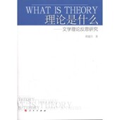 文学理论反思研究邢建昌著人民出版 理论是什么 社9787010101415 包邮 正版
