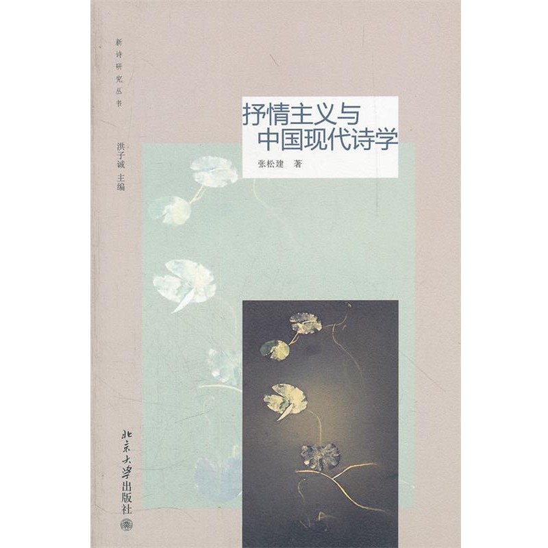 正版包邮抒情主义与中国现代诗学张松建　著北京大学出版社9787301207499