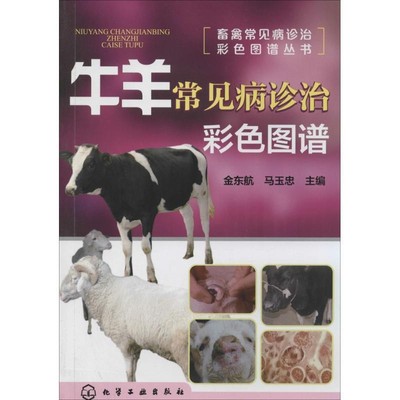 正版包邮畜禽常见病诊治彩色图谱丛书--牛羊常见病诊治彩色图谱金东航马玉忠化学工业出版社9787122200730