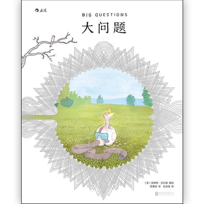 正版包邮大问题[美]安德斯.尼尔森,郭惠丽北京联合出版公司9787559621306