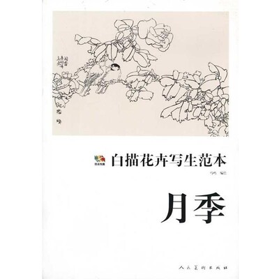 正版包邮白描花卉写生范本·月季马鸣绘人民美术出版社9787102056210