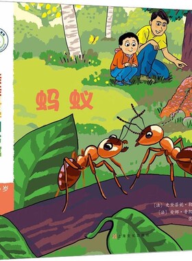 正版包邮蚂蚁(法)史黛芬妮·勒迪(Stephanie Ledu)上海文化出版社9787553513607