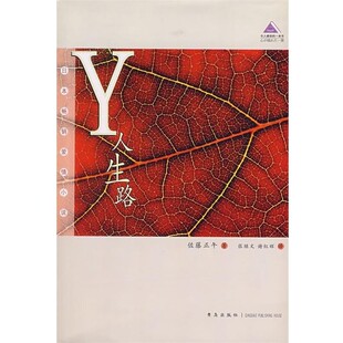 正版包邮Y人生路(日)佐藤正午,张继文,谢红辉青岛出版社9787543639584