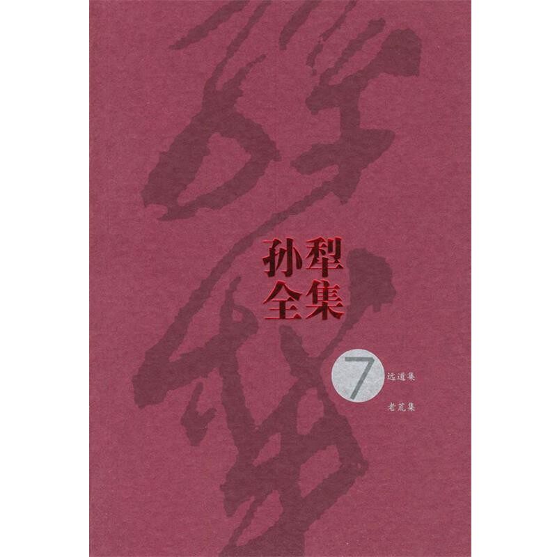 正版包邮孙犁全集孙犁 著人民文学出版社9787020046843